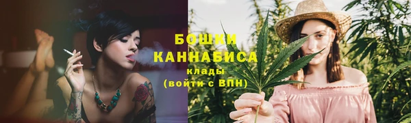 винт Каменка