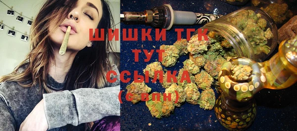 винт Каменка