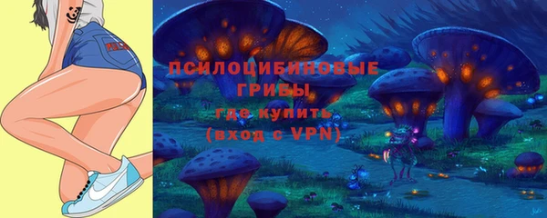 винт Каменка