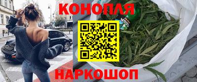 мяу мяу мука Аргун