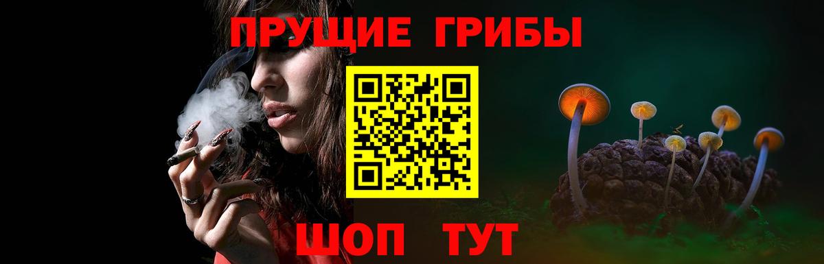 Галлюциногенные грибы мицелий Архангельск